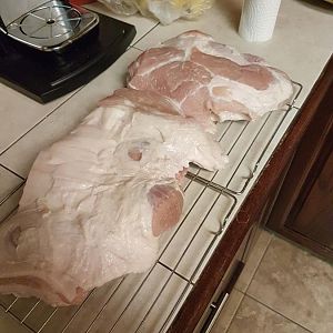 20170202_184352.jpg