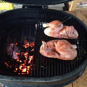 IMG_1027.JPG