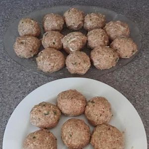 Meatballs 1.jpg