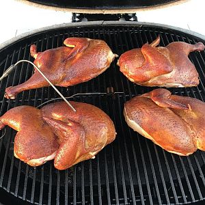 Half Chickens.jpg