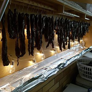 20170225_092910.jpg