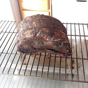 IMG_20170225_105029226.jpg