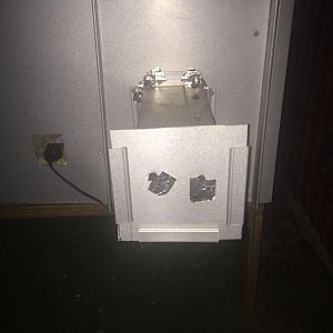 image.jpeg