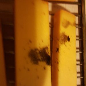 20161208_204656.jpg