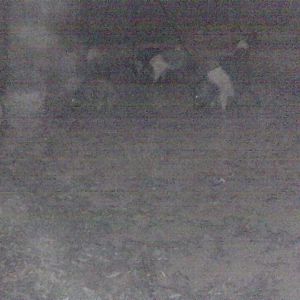 IMG_8615.JPG