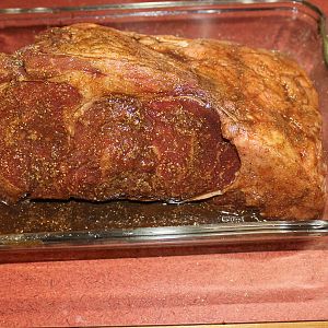 prime rib dog ect Feb 28 2017 004.JPG