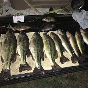 IMG_8671.JPG