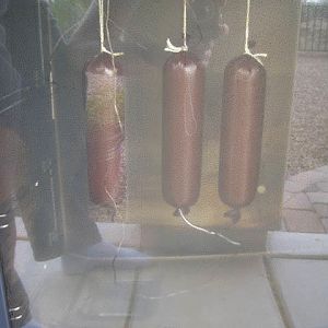 elk6.JPG