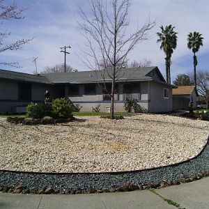 Front Yard 2.jpg