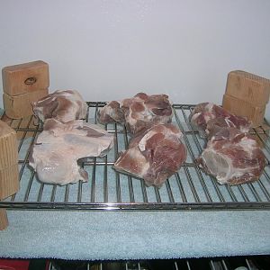 DSCN3424.JPG