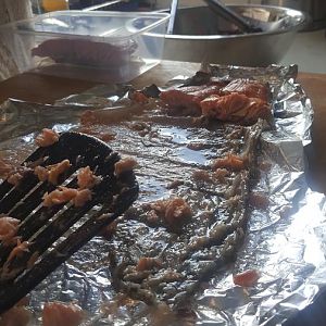 20170219_172100.jpg
