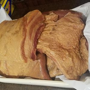 20170313_051856.jpg