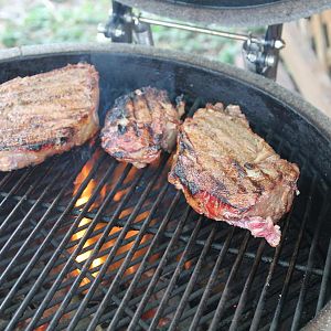 Steaks March 17 2017 finished 002.JPG