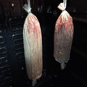 IMG_7668.jpg