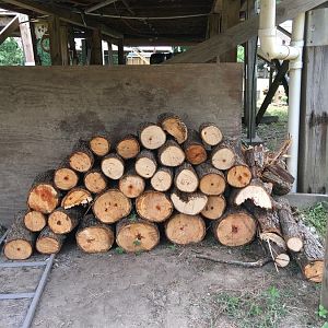 IMG_5847.JPG