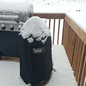 snowy.jpg