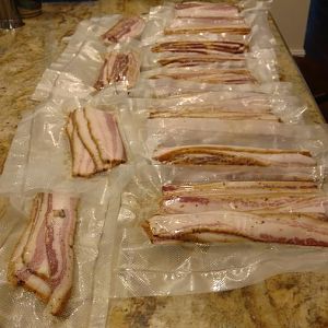 bacon3 3-28-17.jpg