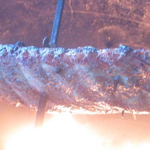 IMG_1496.JPG
