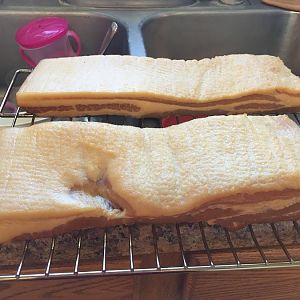 IMG_4911.JPG