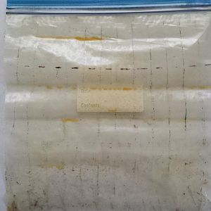 Maple pellets test Powder - ziploc.jpg