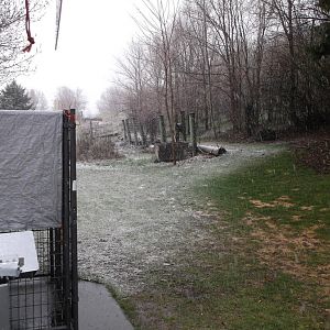 Snow this spring 001.JPG