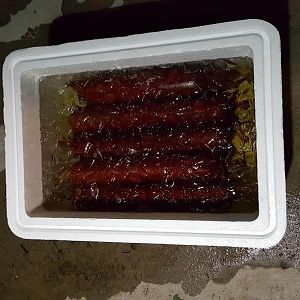 Jalapeno Cheese Summer Sausage-7-Ice Bathing.jpg