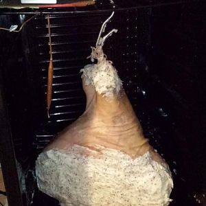 20170412_215043.jpg