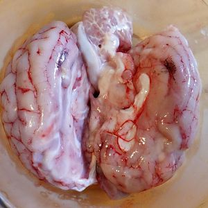 20170414_230042.jpg