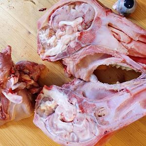 20170414_223919.jpg