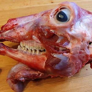20170414_223525.jpg