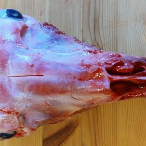 20170414_223512.jpg