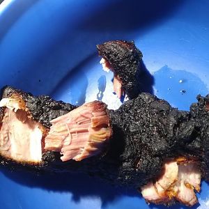 20170415_021533.jpg