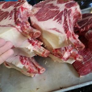 20170416_155921.jpg