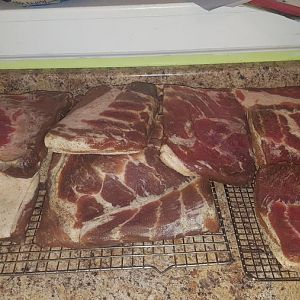20170419_062541.jpg