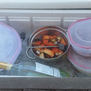 20170409_114400.jpg