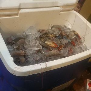 20170408_150111.jpg