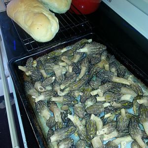 20170423_165824.jpg