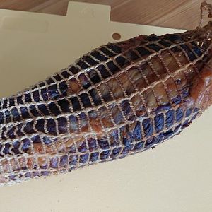 20170429_101649.jpg