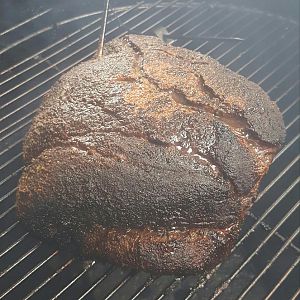 20170430_124337.jpg
