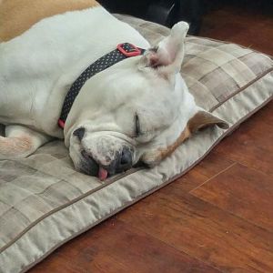 20170430_144005_HDR.jpg
