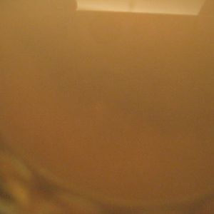 IMG_2702.JPG