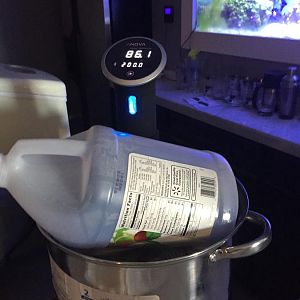 IMG_1563[1].JPG