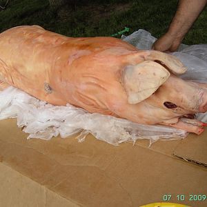 BILD0128.JPG