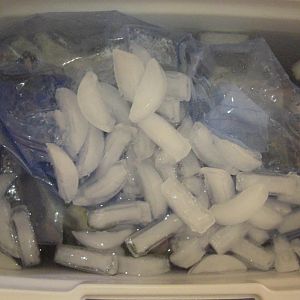 02-Iced Brining Bird.JPG