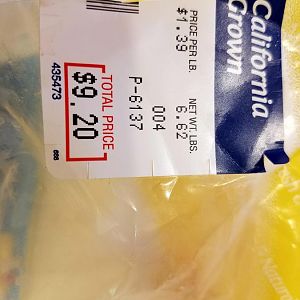 20170520_173621.jpg