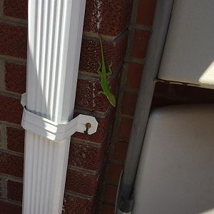 IMG_1612.JPG