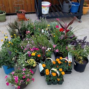 IMG_20170520_201318495.jpg