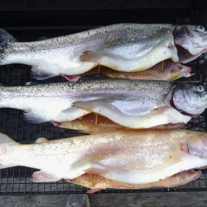 Smoking Fish 1.jpg
