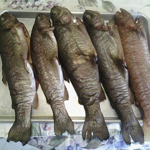 Smoked Fish.jpg