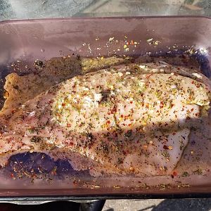 redfish.jpg